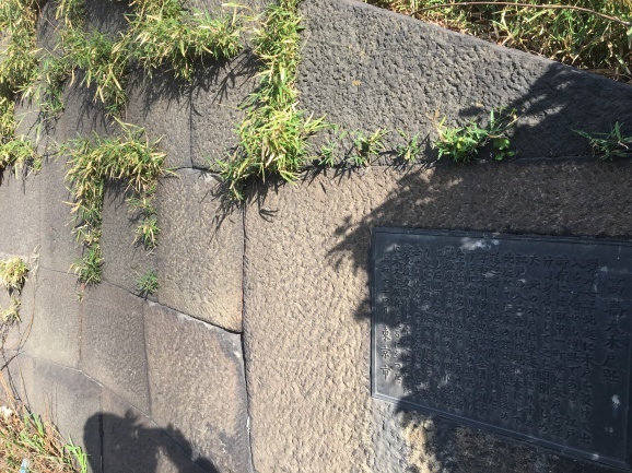 f0042295_15295197.jpeg
