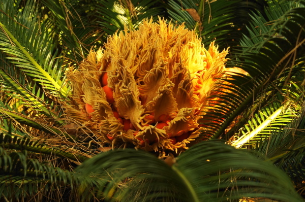 a0206496_18012628.jpg