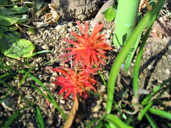 c0117898_18325358.jpg