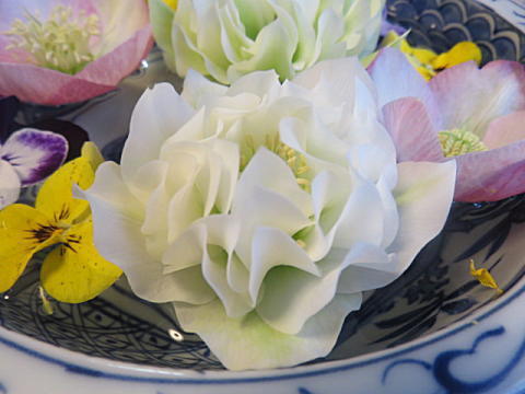 d0046702_04015069.jpg