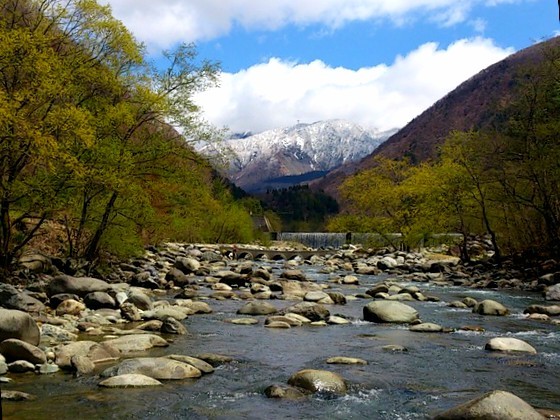 f0266202_12331552.jpg