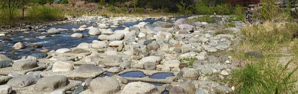 f0266202_12371847.jpg