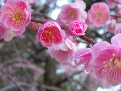 f0231709_20195129.jpg