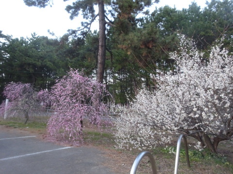 f0231709_20211631.jpg