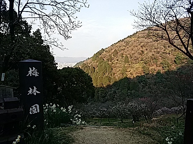 f0231709_20235334.jpg