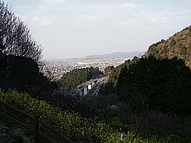 f0231709_20241215.jpg