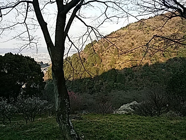 f0231709_20243635.jpg