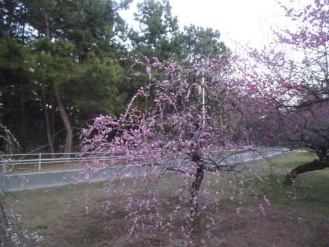 f0231709_20370750.jpg