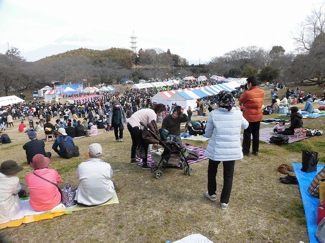 初めて参加し多くの人出に驚いた! 梅が盛りの岩本山公園での「第20回 岩松北地区 梅まつり」_f0141310_07510455.jpg
