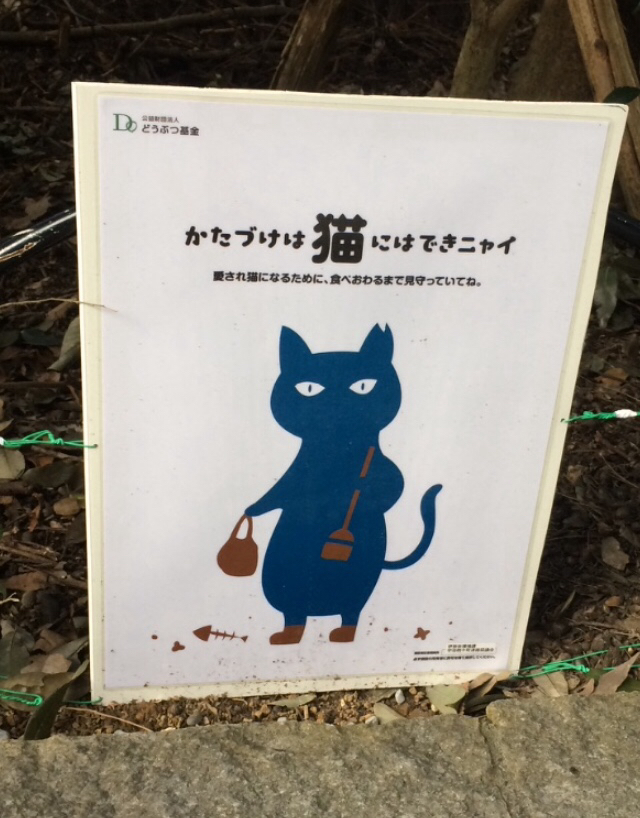 伊勢神宮2019 お馬様と猫と定宿_e0374912_14052546.jpg