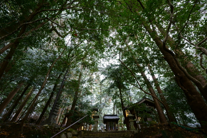 雪の赤山禅院_e0177413_20364731.jpg