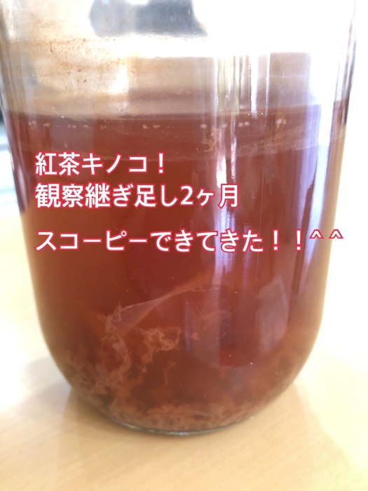 b0163114_13113904.jpeg