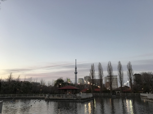 b0177415_00014598.jpeg