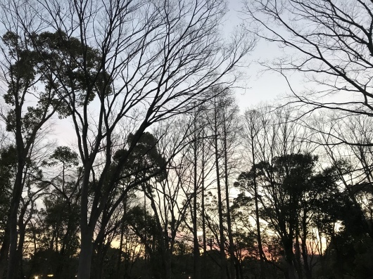 b0177415_00020765.jpeg