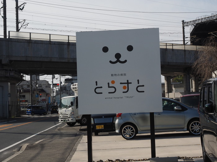 くうちゃんのお見舞い_c0116915_00255611.jpg