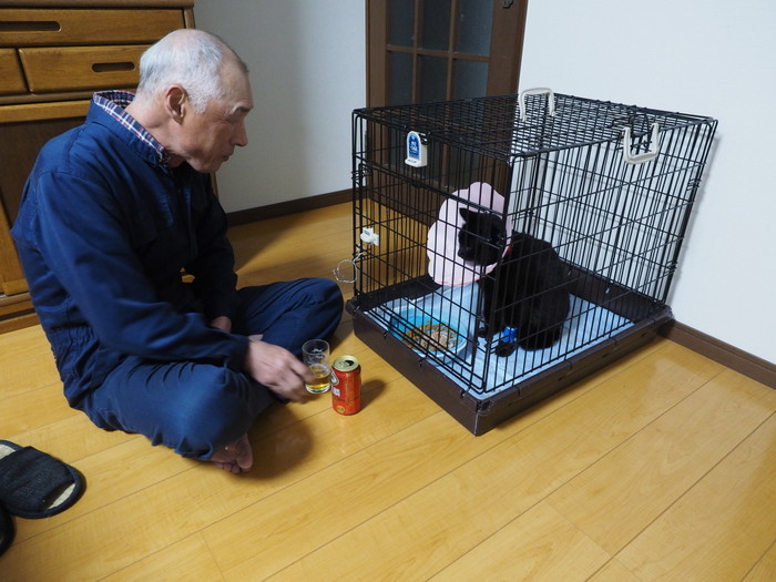 くうちゃん退院_c0116915_23495927.jpg