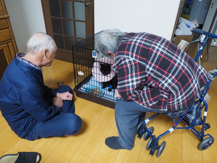 くうちゃん退院_c0116915_23504798.jpg