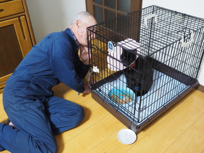 くうちゃん退院_c0116915_23512355.jpg