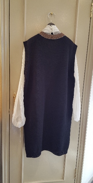 シルクシフォンの……_f0126121_11051451.jpg