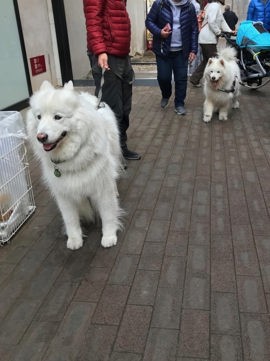 f0234023_05563631.jpeg
