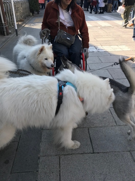 f0234023_05573837.jpeg