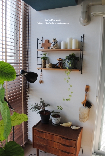 捨てられなかったモノ * あの植物を植え替える_b0351624_16161121.jpg
