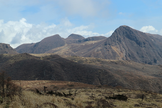 e0272335_1923681.jpg