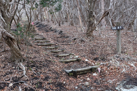 e0272335_1971210.jpg