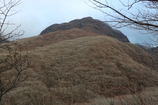 e0272335_1984797.jpg