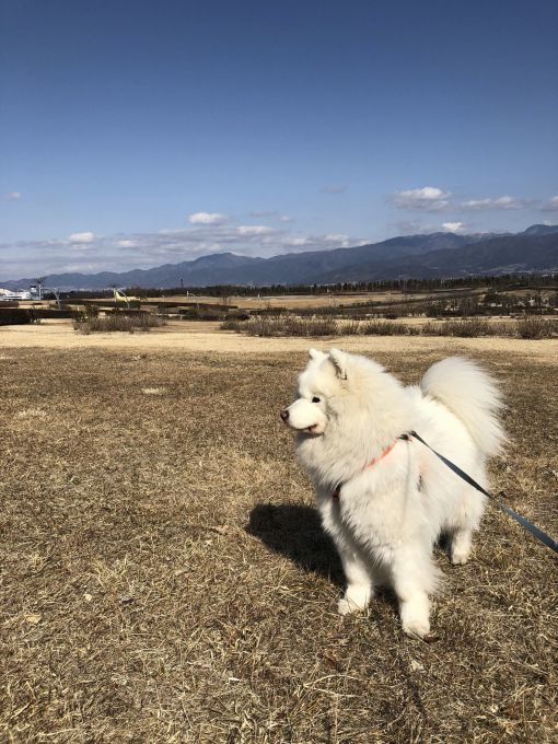 2019年冬 群馬~岐阜~石川県旅行 その1_f0128542_02065584.jpg