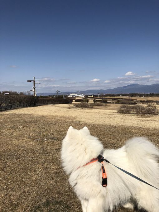 2019年冬 群馬~岐阜~石川県旅行 その1_f0128542_02091403.jpg
