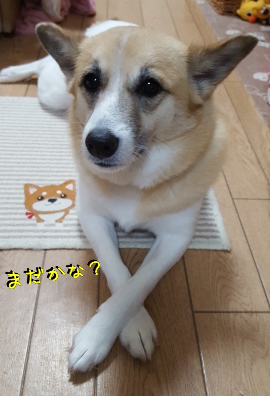a0353444_15515661.jpg