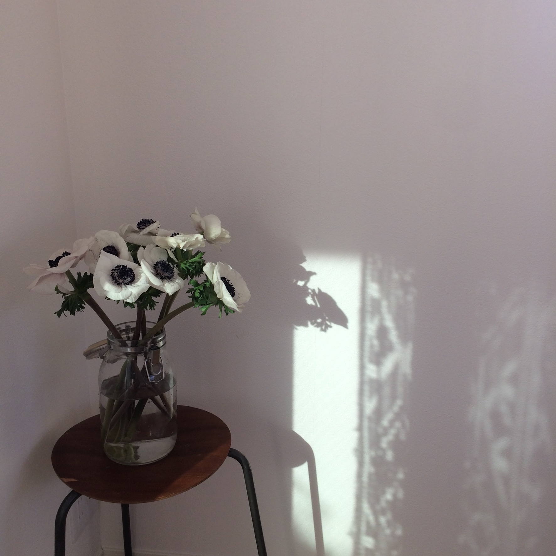 b0162950_16123252.jpeg