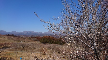 a0208560_11483930.jpg