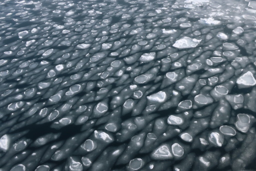 流氷_d0023170_22472418.jpg