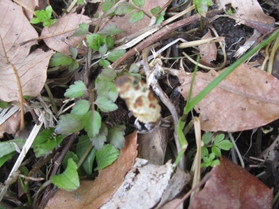 b0149071_10551421.jpg