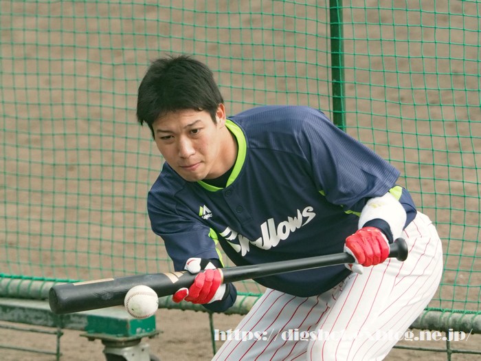 山田哲人選手2019沖縄キャンプその2_e0222575_1556143.jpg