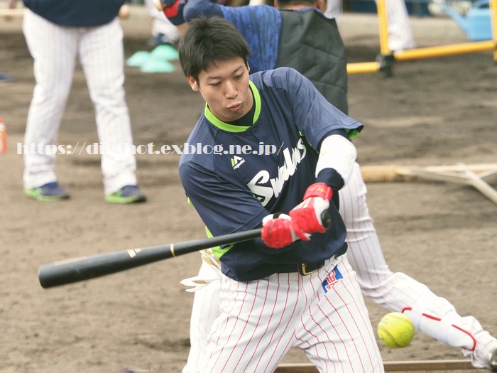 山田哲人選手2019沖縄キャンプその2_e0222575_1603292.jpg