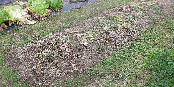 f0003283_08245677.jpg