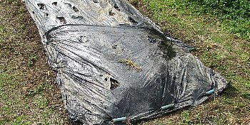 f0003283_08253291.jpg