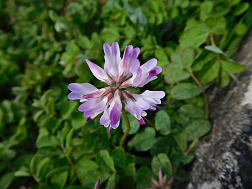e0086885_16401723.jpg