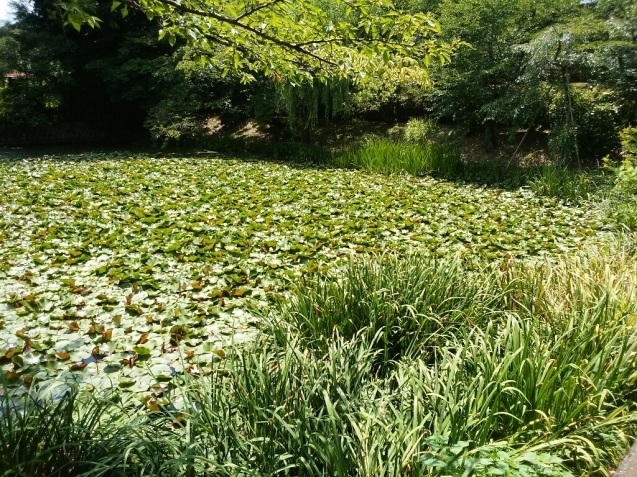 e0371086_20084032.jpg