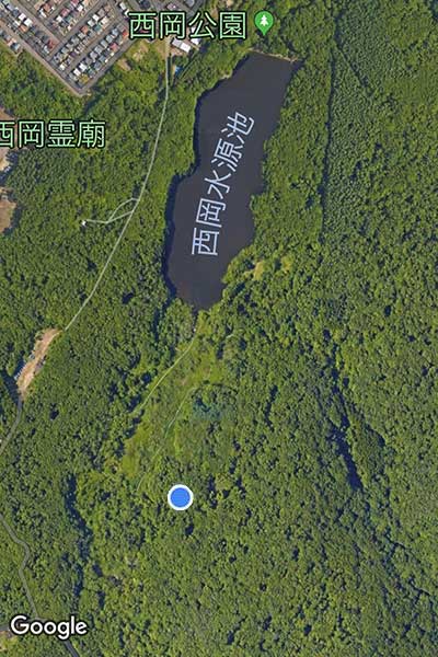 f0212586_8534263.jpg