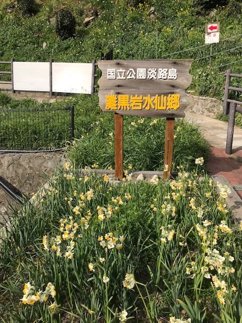 灘黒岩水仙郷_f0204295_14185200.jpg