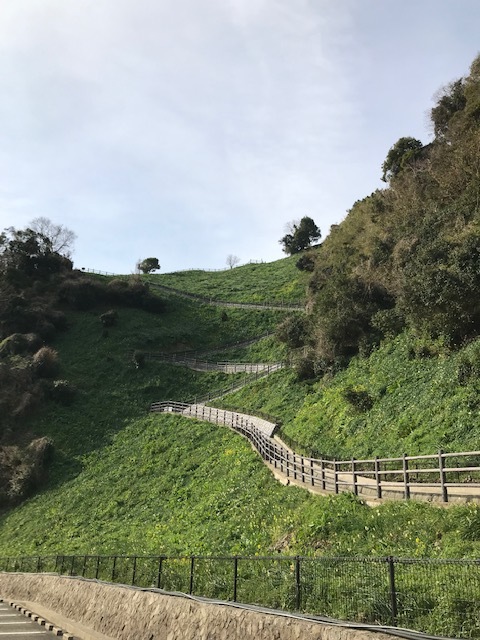 灘黒岩水仙郷_f0204295_14190468.jpg