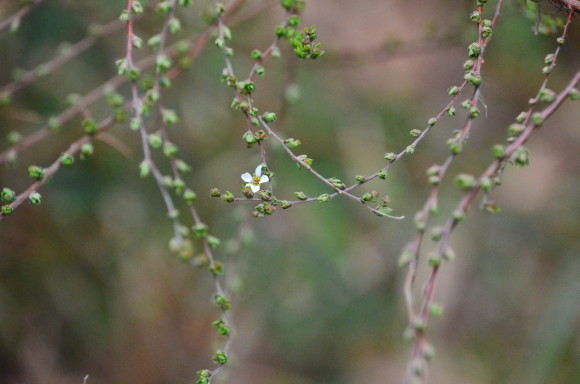 a0288500_10414321.jpg