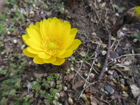 a0203003_16265351.jpg