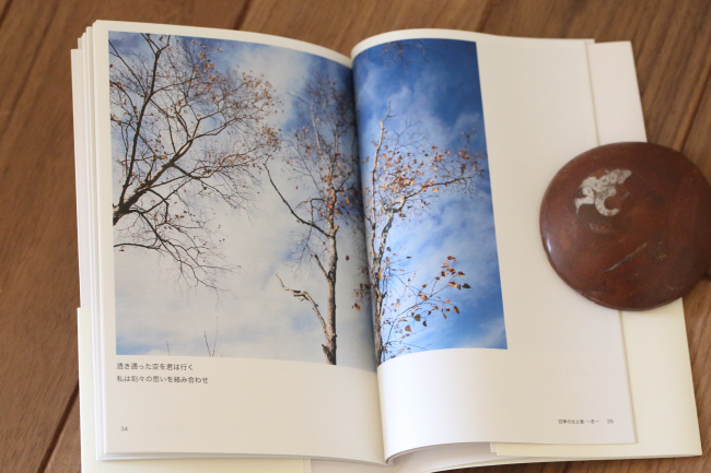 私のフォト詩集 _a0357206_20110799.jpg