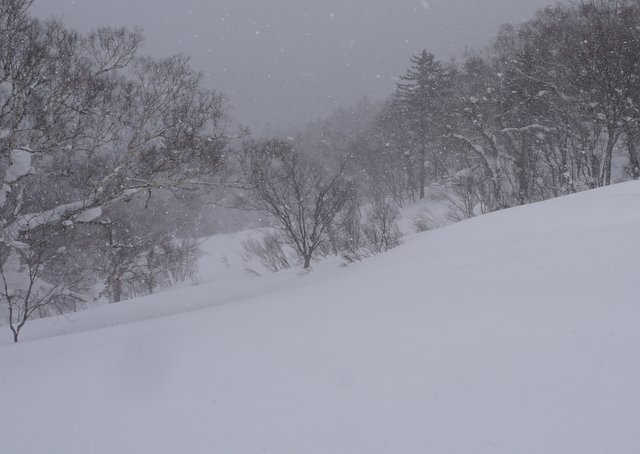 2019年2月23日(土)　　阿部山～峰越山　(標高858.5m)_a0345007_13085900.jpg