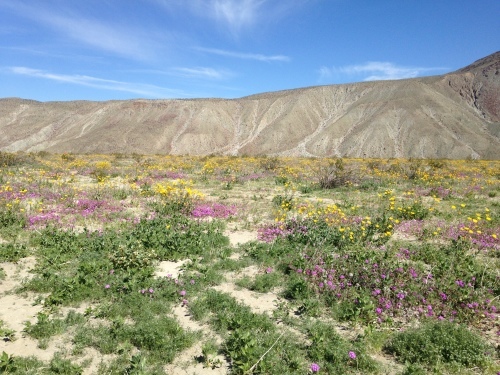 a0331910_23155930.jpeg